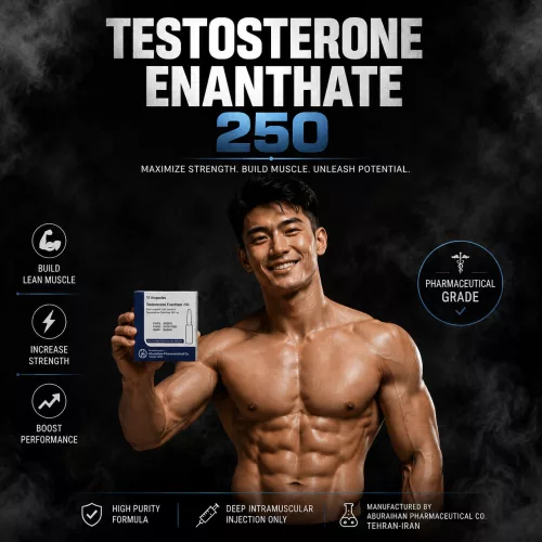 Buy Aburaihan Testosterone Enanthate 250 - Pharma Grade