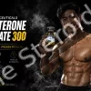 Buy Testosterone Enanthate 300 mg/ml C4-Pharmaceuticals