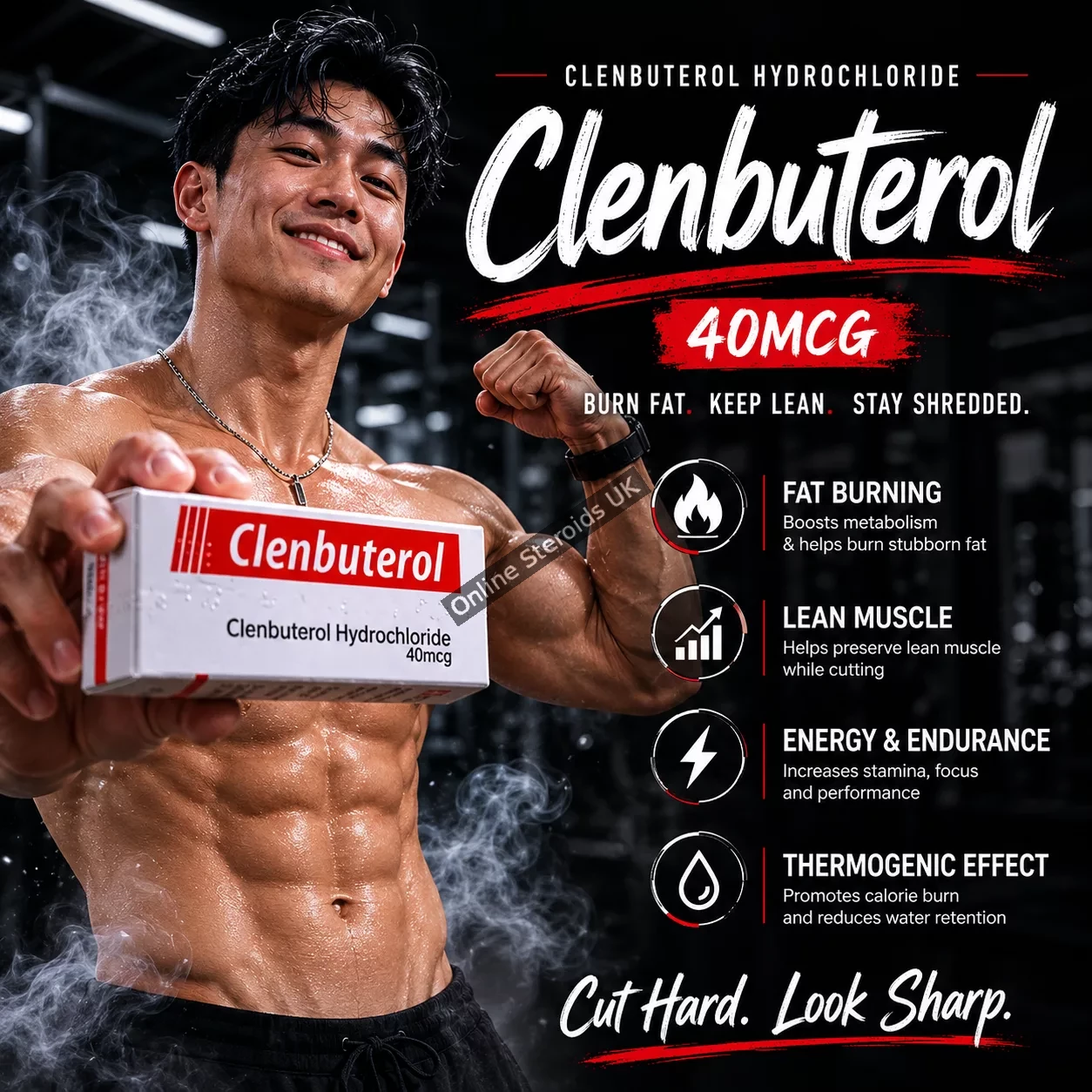 Buy Clenbuterol Hydrochloride 40 mcg - 50 Tablets