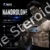 Buy Nandrolone 200mg/ml 10 x 1ml Ampoules - Baltic Pharmaceuticals