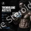 Buy Trenbolone Acetate 100mg -10x1ml Amps - Baltic Pharmaceuticals