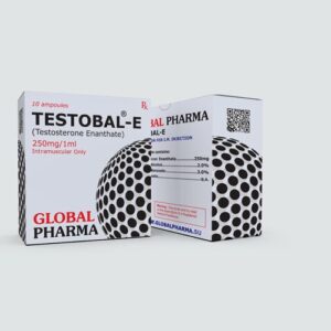 TESTOBAL-E – Testosterone Enanthate – 250mg