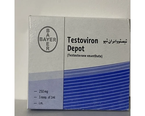 BUY TESTOSTERONE ENANTHATE 250 mg/ML X 3 AMPS BAYER TESTAVIRON - PHARMA GRADE