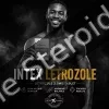 Intex Pharma Letrozole 2.5mg x 60 tabs