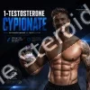 Pharmaqo – Testosterone-C 200 – Test Cypionate