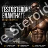 Buy Testosterone Enanthate 250mg - Geofman Pharmaceuticals