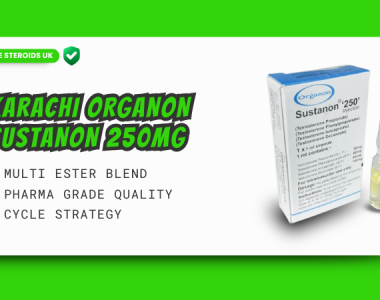 Karachi Organon Sustanon – 3 x 250mg Pharma Grade