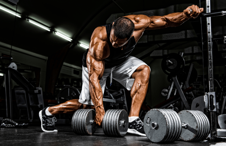 performance system and recovery alignment training UK