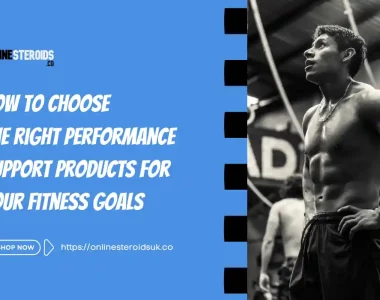 performance support products UK